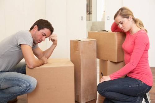 Professional movers loading a van for a Barnes relocation